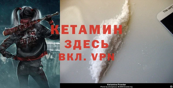 трава Аркадак