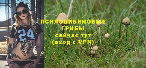 гидропоника Армянск