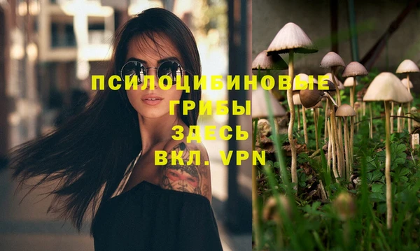 ПСИЛОЦИБИНОВЫЕ ГРИБЫ Арсеньев