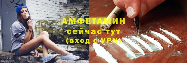 ПСИЛОЦИБИНОВЫЕ ГРИБЫ Арсеньев