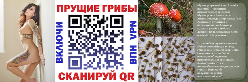 сколько стоит  даркнет официальный сайт  Псилоцибиновые грибы ЛСД  Казань 